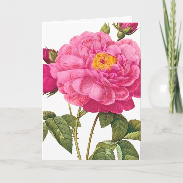 Tarjeta de felicitación rosa rosa (Anverso)