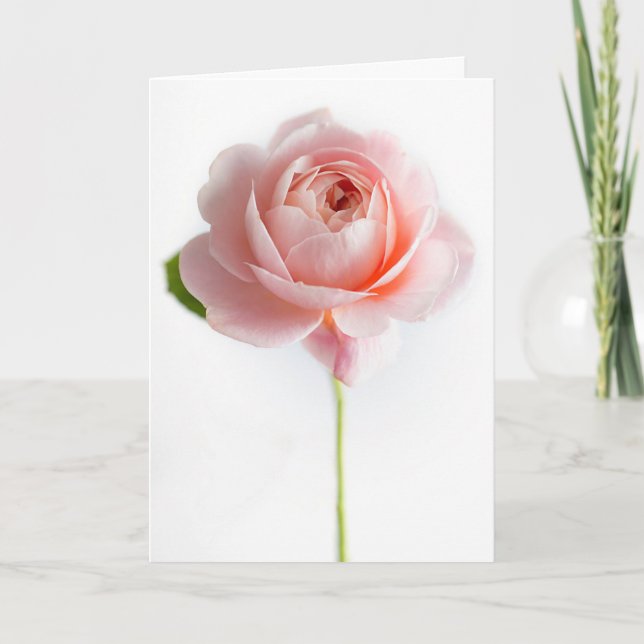 Tarjeta de felicitación rosa rosa (Anverso)