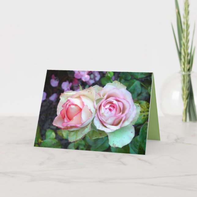 Tarjeta de felicitación Rosa Rosada (Anverso)