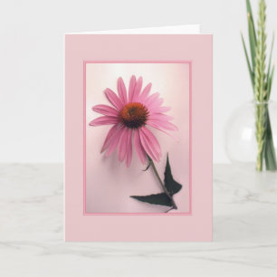 Tarjeta de felicitación rosada de Coneflower