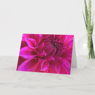 Tarjeta de felicitación rosada de la dalia