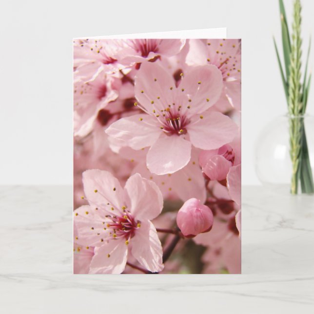 Tarjeta de felicitación rosada de los flores de la (Anverso)