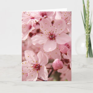 Tarjeta de felicitación rosada de los flores de la