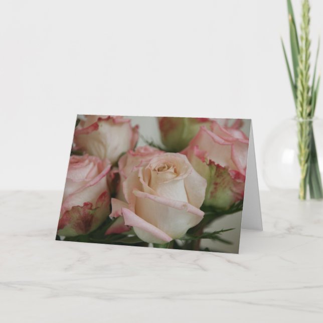 Tarjeta de felicitación rosada de los rosas (Anverso)