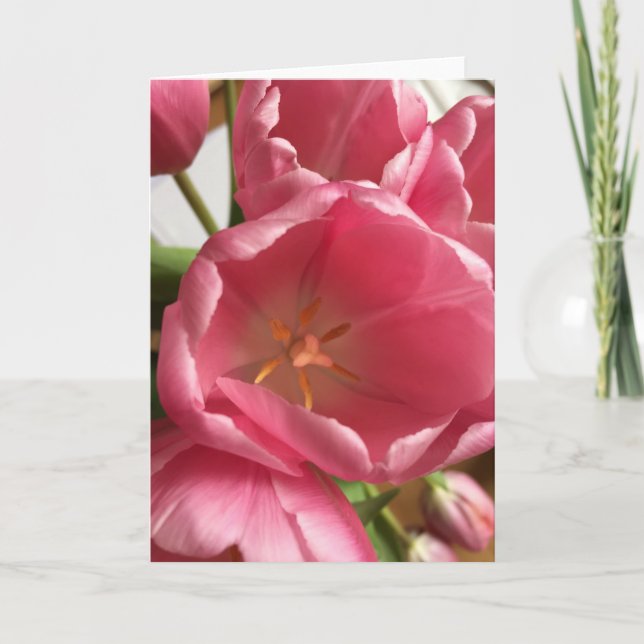Tarjeta de felicitación rosada de los tulipanes (Anverso)