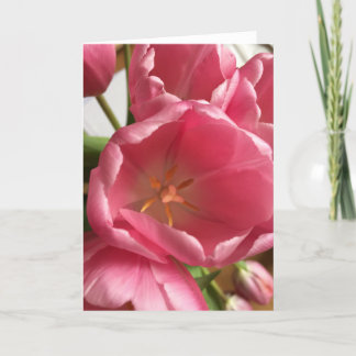 Tarjeta de felicitación rosada de los tulipanes