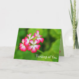 Tarjeta de felicitación rosada vibrante de los