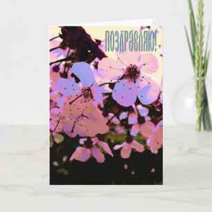 Tarjeta de felicitación rusa con flores de cerezo
