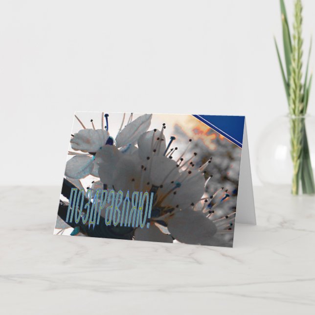 Tarjeta de felicitación rusa con flores de cerezo (Anverso)