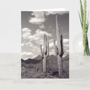 Tarjeta de felicitación Saguaro Cacti Sonoran Dese