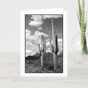 Tarjeta de felicitación Saguaro Sentinels