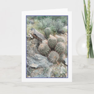 Tarjeta de felicitación Saguaro Swirl