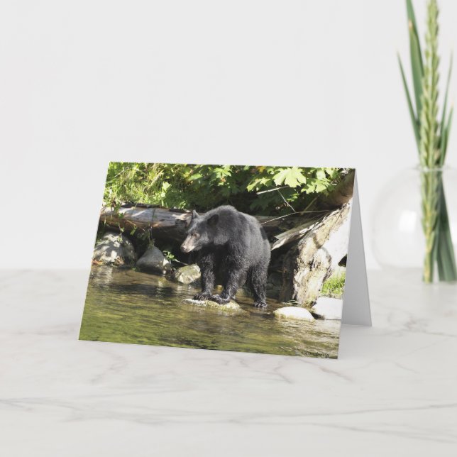 Tarjeta de felicitación "Salmon Spotting" para oso (Anverso)