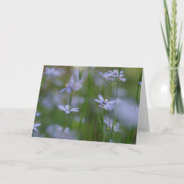 Tarjeta de felicitación Salmos 115:15 con flores a
