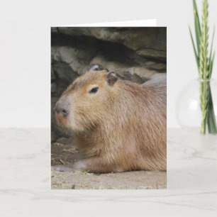 Tarjeta de felicitación salvaje del Capybara