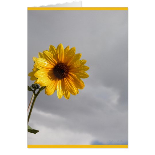 Tarjeta de felicitación salvaje del girasol