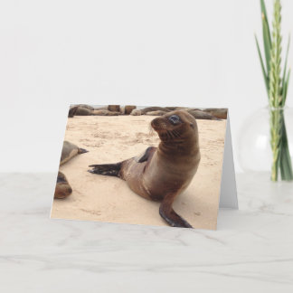 Tarjeta de felicitación Sea Lion Blank