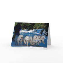 Tarjeta de felicitación "Shadow Fan"