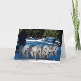 Tarjeta de felicitación "Shadow Fan"