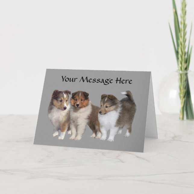 Tarjeta de felicitación Sheltie (Anverso)