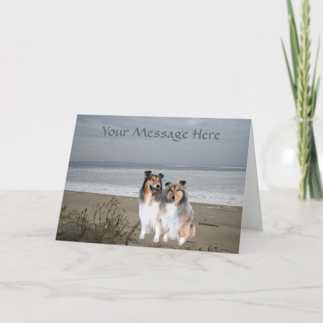 Tarjeta de felicitación Sheltie (Anverso)