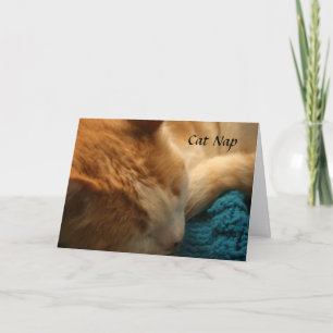 Tarjeta de felicitación: Siesta del gato