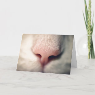 Tarjeta de felicitación Silky White Kitty
