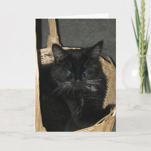 Tarjeta de felicitación sincera de los gatitos