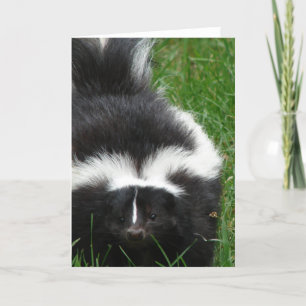 Tarjeta de felicitación Skunk