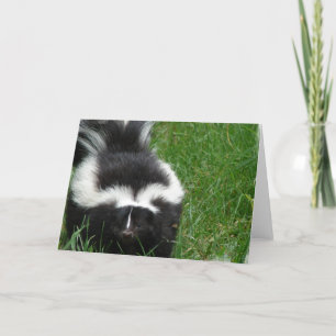 Tarjeta de felicitación Skunk
