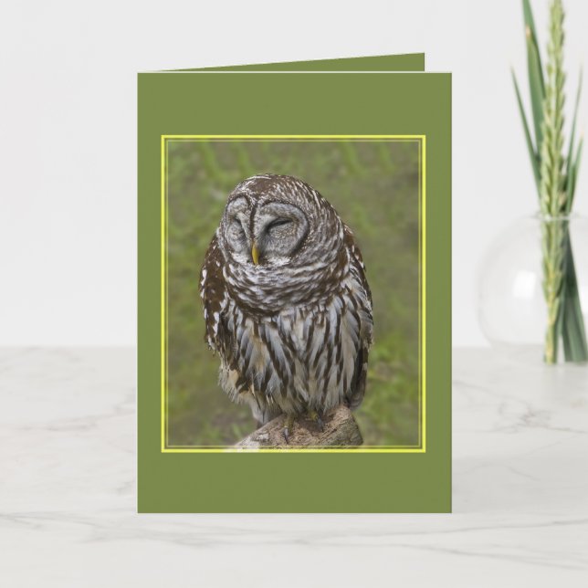 Tarjeta de felicitación Sleepy Owl (Anverso)