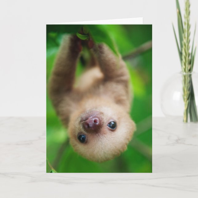 Tarjeta de felicitación Sloth (Anverso)
