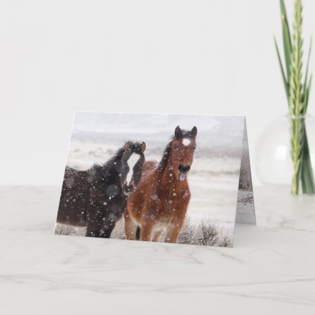 Tarjeta de felicitación Snow Colts (Anverso)