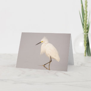 Tarjeta de felicitación Snowy Egret Walking