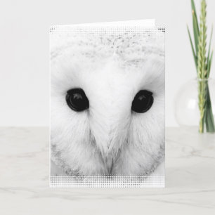 Tarjeta de felicitación Snowy Owl