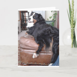 Tarjeta de felicitación, sobres blancos estándar i