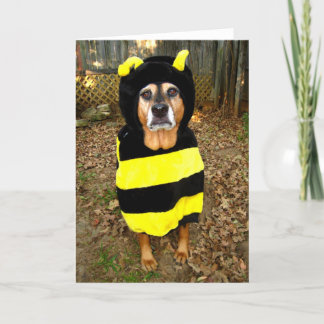 Tarjeta de felicitación soleada de la "abeja más