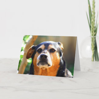 Tarjeta de felicitación soleada de la Severo-cara