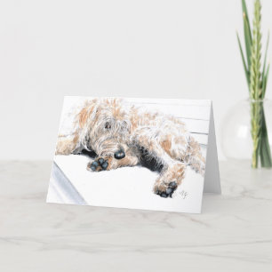 Tarjeta de felicitación soñolienta de Labradoodle