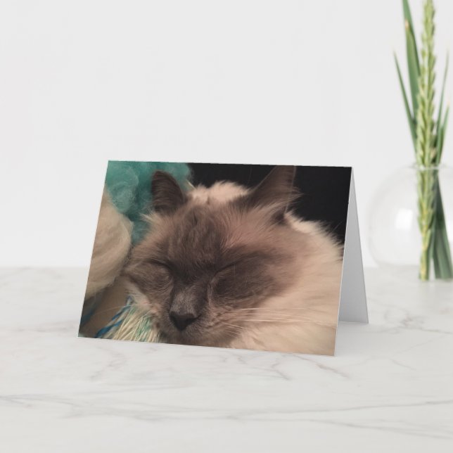 Tarjeta de felicitación soñolienta del gato (Anverso)