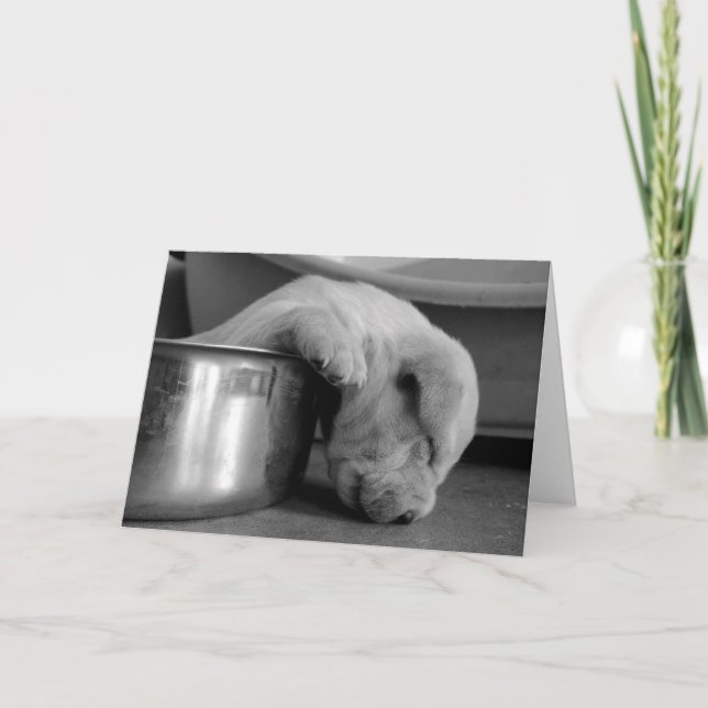 Tarjeta de felicitación soñolienta del perrito (Anverso)