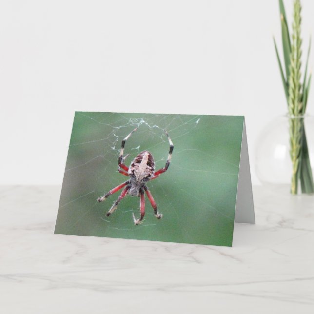 Tarjeta de felicitación Spider (Anverso)