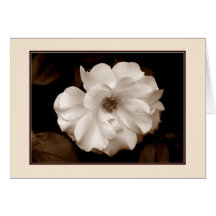 Tarjeta de felicitación 'Spring Rosa (Sepia)'