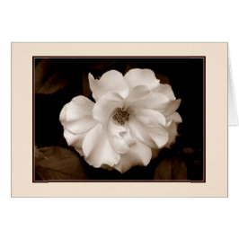 Tarjeta de felicitación 'Spring Rosa (Sepia)'