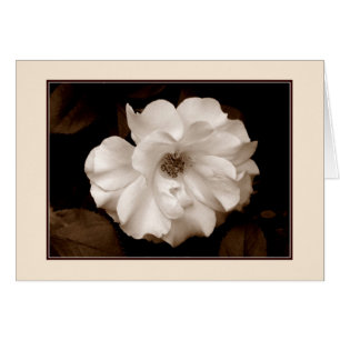 Tarjeta de felicitación 'Spring Rosa (Sepia)'