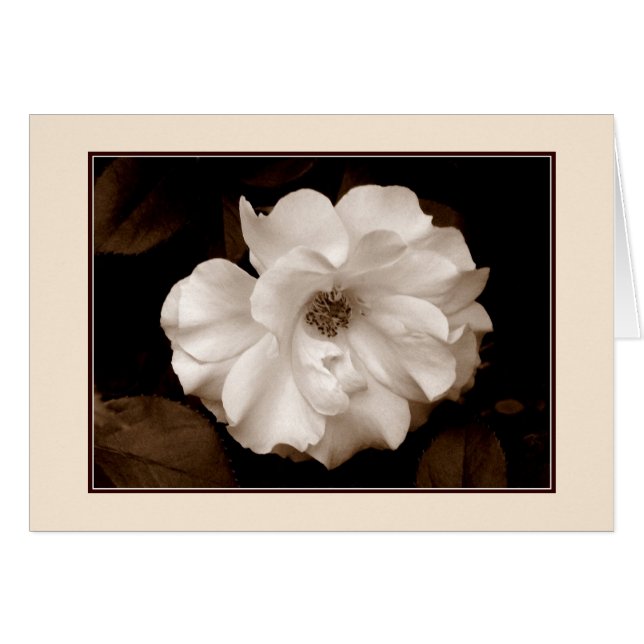 Tarjeta de felicitación 'Spring Rosa (Sepia)' (Anverso (Horizontal))