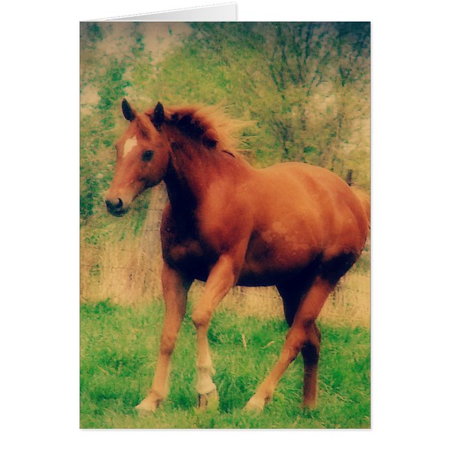 Tarjeta de felicitación Spring Sorrel All Occasis (Frente)