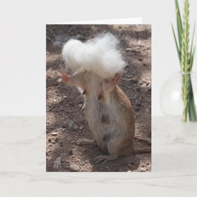 Tarjeta de felicitación Squirrel vs Samoyed Fur (Anverso)