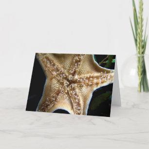 Tarjeta de felicitación Starfish