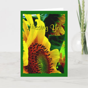 Tarjeta de felicitación Sunflower 003